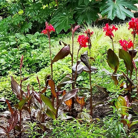 Le Vallon à Chambretaud, 5 Min Du Puy Du Fou Chambretaud