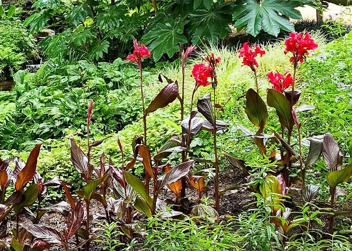 Le Vallon à Chambretaud, 5 Min Du Puy Du Fou Chambretaud